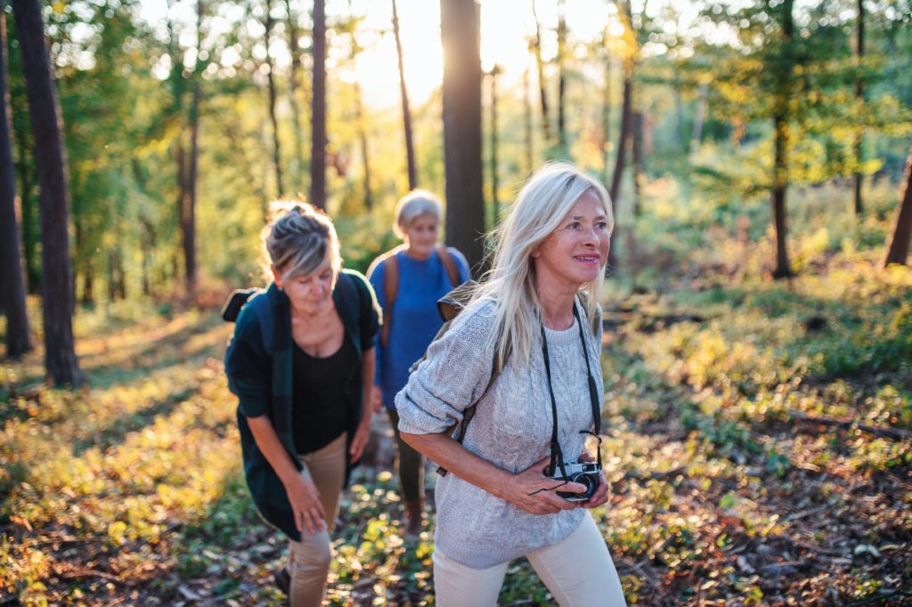 Senior women friends outdoors in forest, walking. Senior women friends on a walk outdoors in forest, walking.