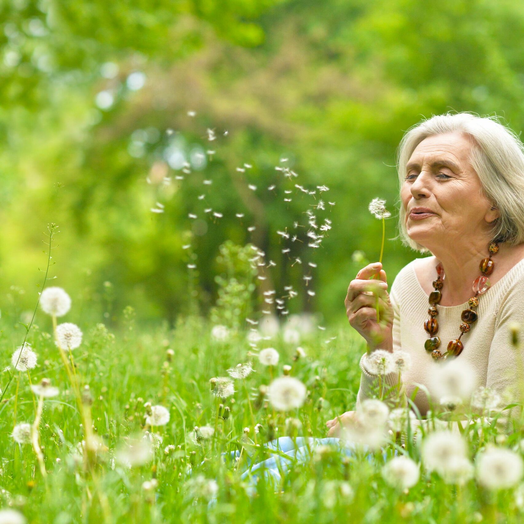 Portrait of a beautiful senior woman in green field with dandelions